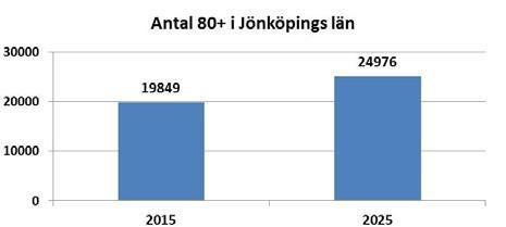 Utmaningar Skillnader i utbildningsnivå.