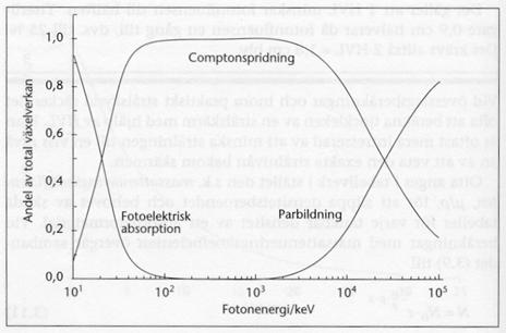 Strålningsfysik 1. Vilka två komponenter brukar vi säga att ett röntgenspektrum innehåller? (2p) 2.