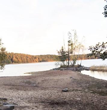 VERKSAMHETEN, FORTS. Våra abonnenter släpper ut 1,6 miljoner m 3 spillvatten i ledningarna. Reningsverken tar emot 3,5 miljoner m 3 avloppsvatten, mestadels regnvatten.