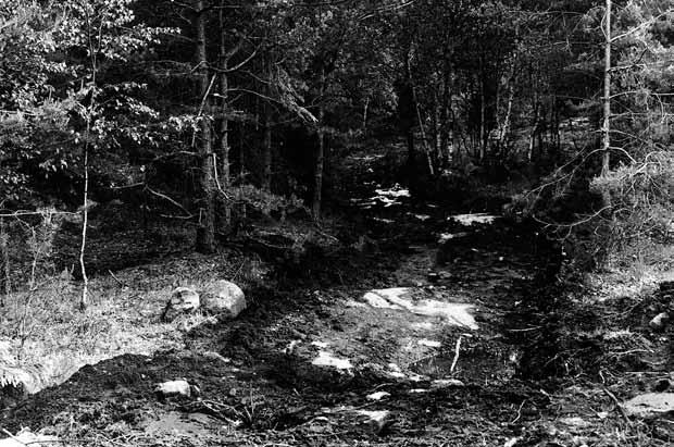 10 Bohusläns museum 2010:19 antyder tillsammans med det topografiska läget att det är fråga om en mesolitisk boplats (Karlsson-Lönn 1990).