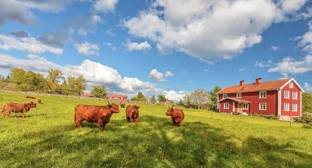 Vi vill att Landstinget ska fortsätta att utveckla och se nya möjligheter i digitaliseringen inom sjukvården.