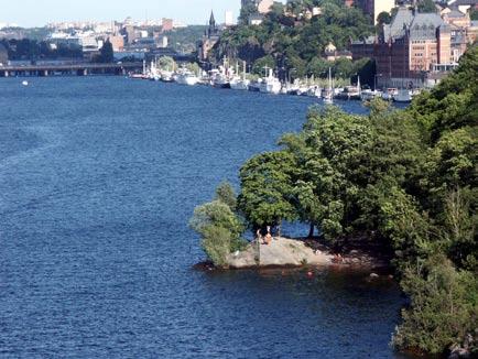 V A T T E N P R O G R A M för Stockholm 2000 Övergripande åtgärder för miljökvalitet Ansvarsfördelning i Stockholms vattenarbete Miljöförvaltningen ansvarar för tillsyn enligt miljöbalken,