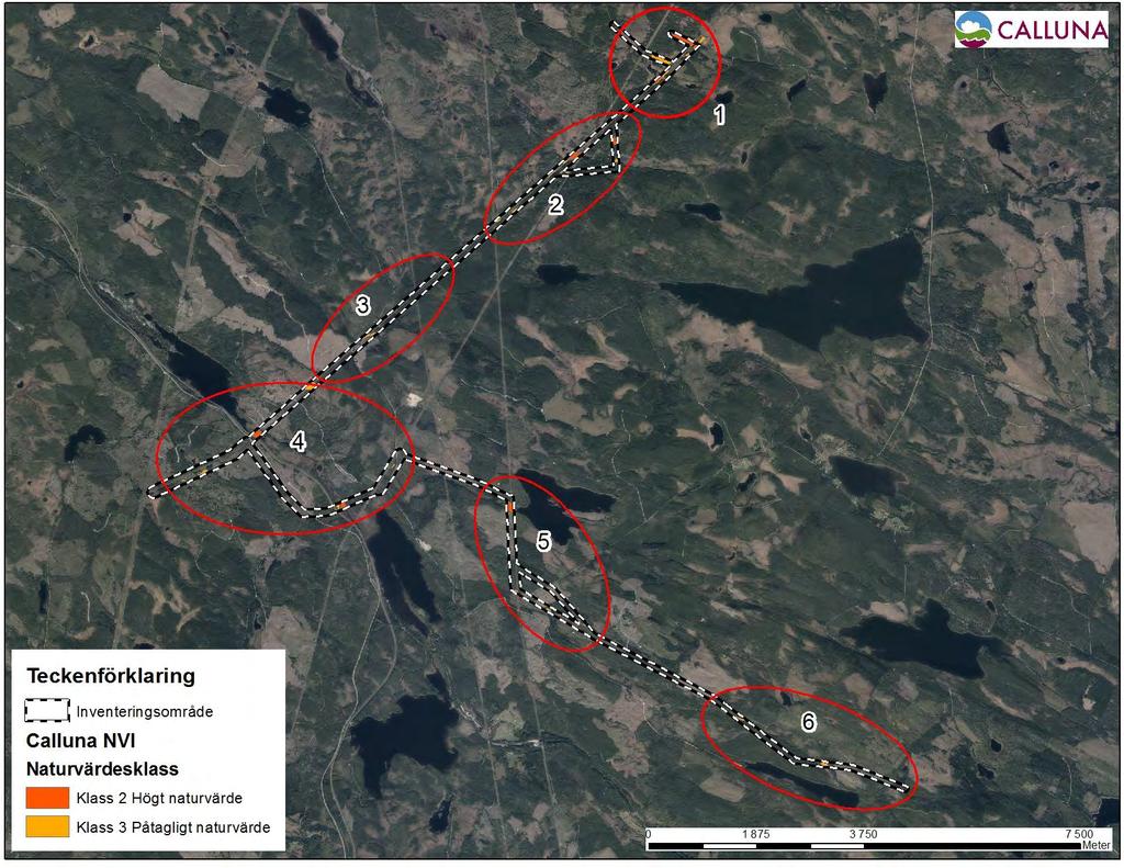 Naturvärdesinventering / Björnberget - Gubbaberget, Ljusdal och Ånges kommun 2016 Figur 3.