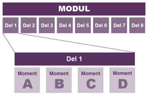 Matematikundervisning med digitala verktyg* En modul i Matematiklyftet Översikt över modulstrukturen