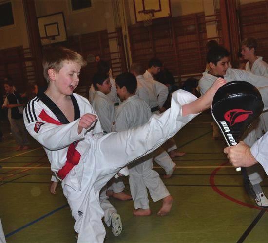 TAEKWON-DO Från 5 år Hela sommarlovet måndag-fredag kl.