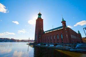 Årsrapport 2017 Rådet till skydd för Stockholms