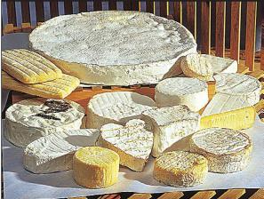 Maison Mons Fromager Affineur (Frankrike) Delikatessostar för kanadensiska munnar I och med Ceta mer än fördubblas den nuvarande tullfria kvoten för ostexport till Kanada från 8 000 ton till 18 500