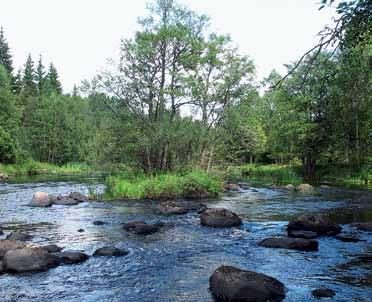 En hölja syns bakom ön med rikligt av