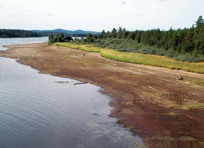 Vatten kan även strömma ner i bottnen från vattendragsfåran. Här uppstår syrerikare miljöer i sedimenten.