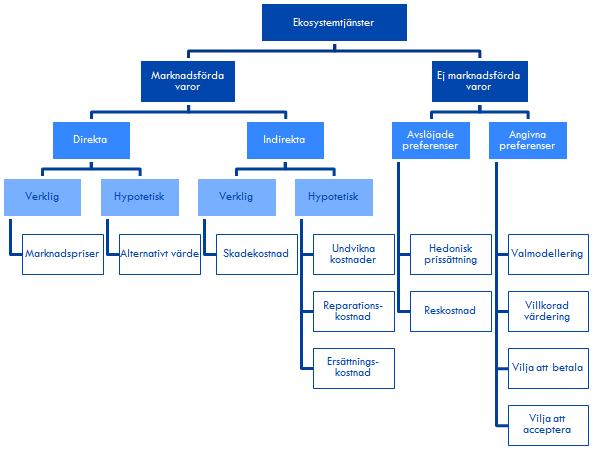 Varje ekosystemtjänst är unik vilket gör det nödvändigt med individuella värderingsmetoder.