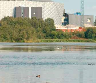 Nedan kan du läsa om några av de platser som vi socialdemokrater anser behöver skyddas omedelbart. BYGG INTE VID RÅSTASJÖN! Vi vill bevara Råstasjön som ett grönt rekreationsområde i Solna.