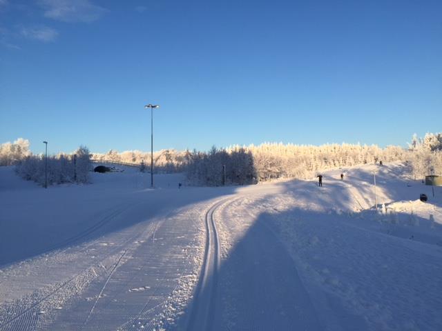 Park/Gata Nya skidspår på Mösseberg På Mösseberg har ett nytt konstsnöspår färdigställts med markförlagda el och vattenledningar och en ny skidtunnel och i Mössebergsparken har restaureringen