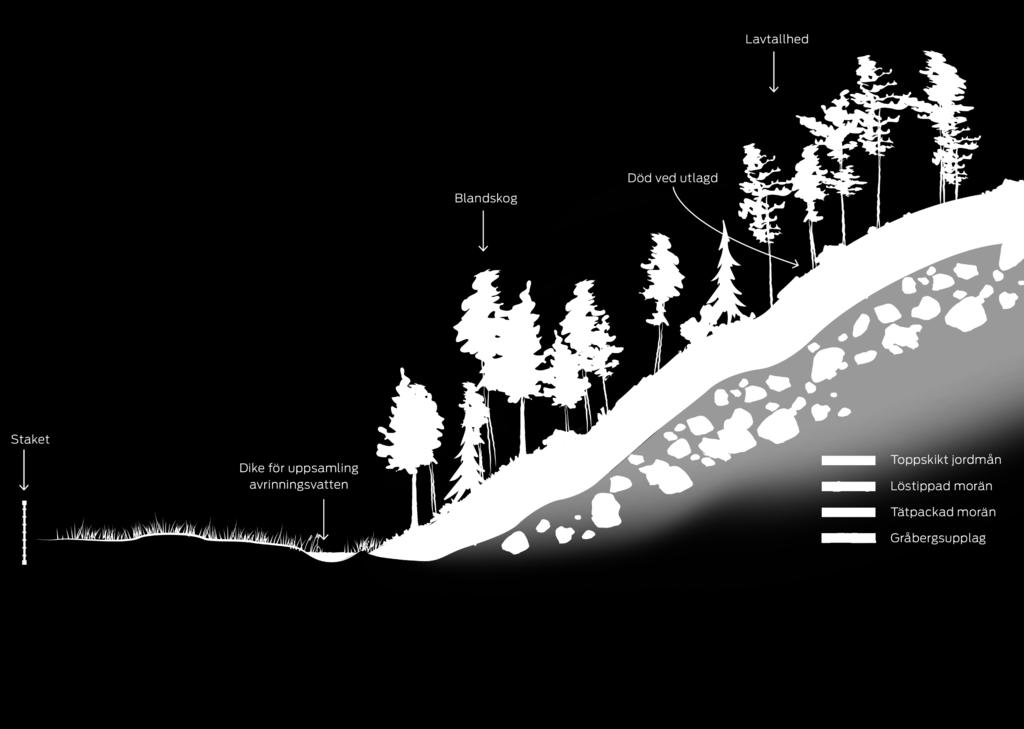 Ekologisk efterbehandlng Syftar till att uppväga påverkan på de naturvärden och renbete som