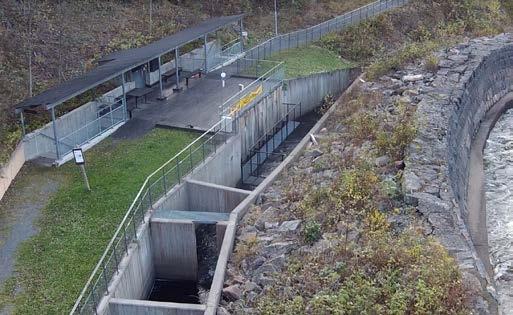 betydelse för boendeanläggningar och entreprenörer längs älvdalen.