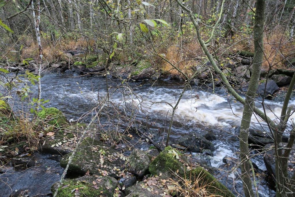 Bild 5. Torestorpsån, rensad sträcka inom kvillområdet (sträcka A2) Förekomsten av död ved i vattnet är liten. Ca 0,2 km (18 %) har måttlig förekomst av död ved (6-25 stockar/100 meter).