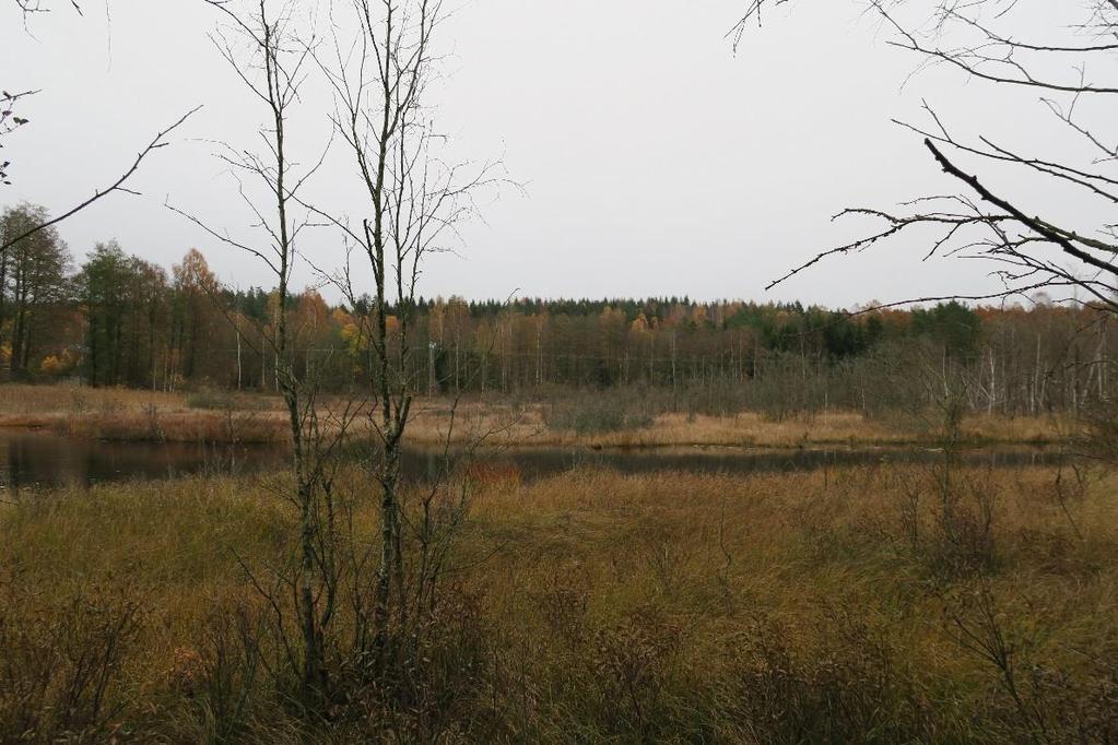 Närmiljö och skyddszoner Närmiljön vid Torestorpsån består i sina nedre delar huvudsakligen av öppna våtmarker. Längre uppströms dominerar skogsmark. Bild 6.