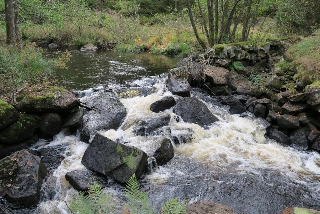 Vandringshinder I Torestorpsån mellan Sävsjön och Holsjön, finns fyra vandringshinder för fisk. Två av dessa bedöms vara definitiva hinder för öring, två bedöms som partiella.