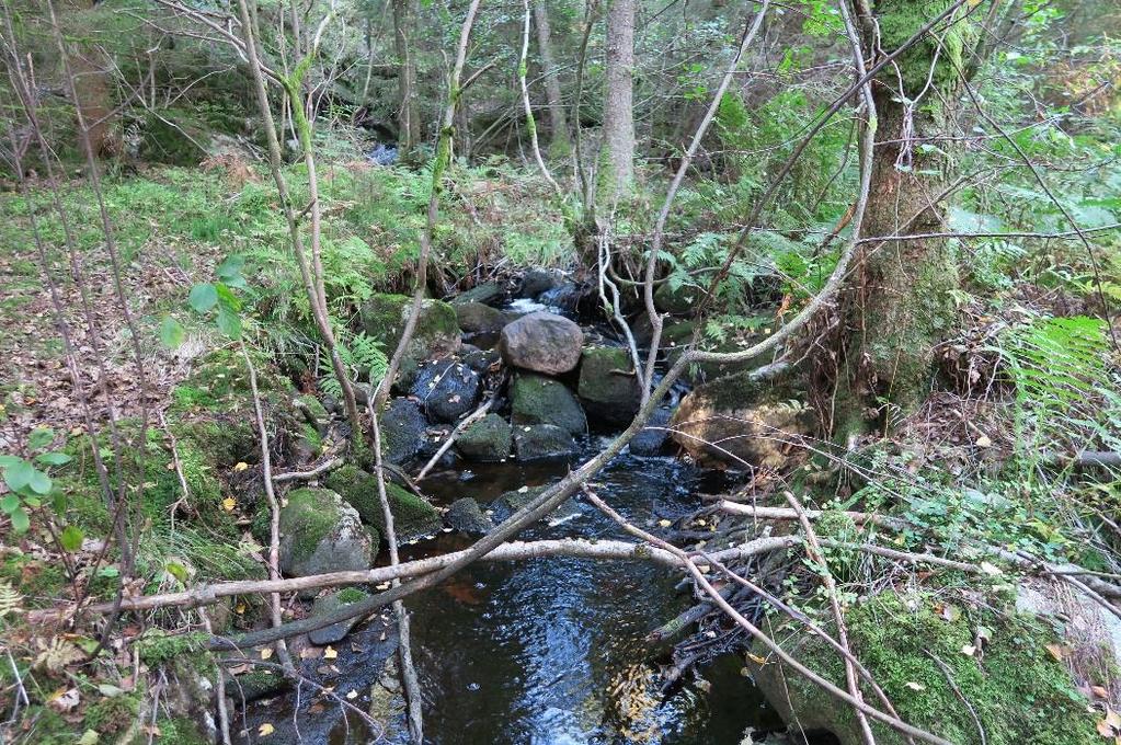 Vandringshinder D4- O Getaryggen 1 Hindret är naturligt och består av hällar