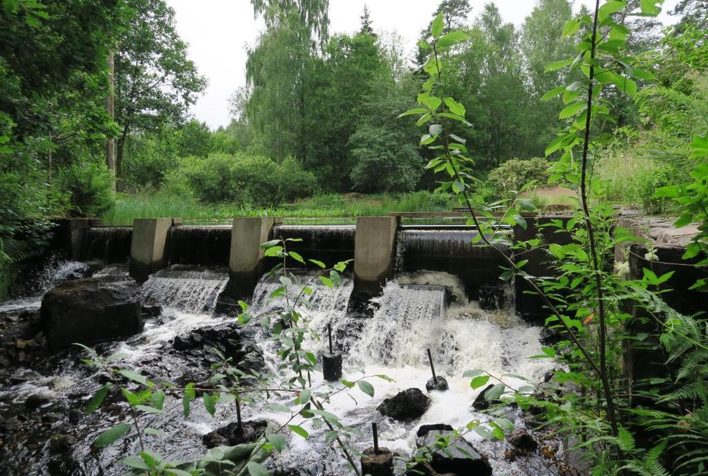 Vandringshinder I Sävsjöbäcken finns ett vandringshinder för fisk. Hindret bedöms vara definitivt för öring, men passerbart för ål.