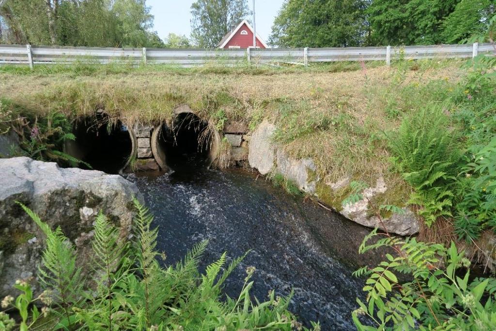 Vandringshinder I Kvarnabäcken finns fyra vandringshinder för fisk, samtliga artificiella. Av dessa bedöms det översta hindret (D4) vara definitivt för öring.