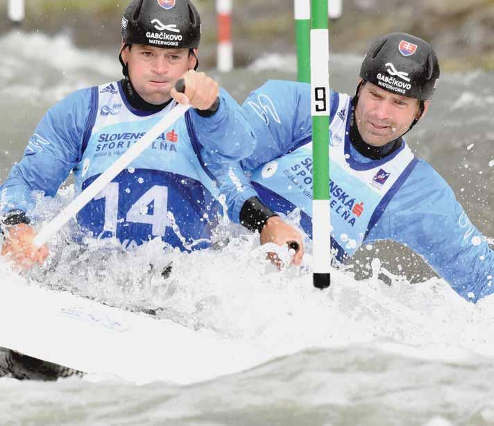 Na olympijské hry do Ria de Janeiro, kde ich úspešne nahradili zlatí Ladislav a Peter Škantárovci, sa neprebojovali, na májových majstrovstvách Európy v Liptovskom Mikuláši obsadili v C2 9.