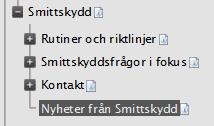 Skapa nyheter Markera sidan som heter Nyheter från din verksamhet Högerklicka, Välj ny sida. Sidan blir per automatik en Nyhetssida. Fyll i Namn, Rubrik, Ingress och Brödtext. Spara och publicera.