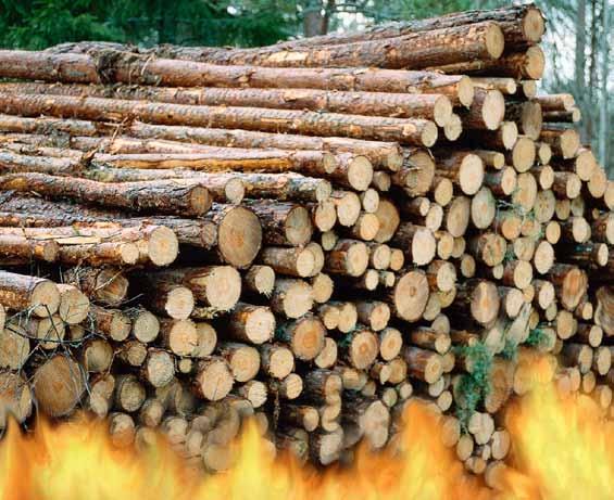 Skog & Ekonomi Nummer 1 Mars 2009 BANKEN ANALYSERAR MARKNADEN: 2 SÅGADE TRÄVAROR Uselt trävaruår byts mot ett ännu sämre Vändning på trävarumarknaden lär dröja Många fördelar för svenska sågverk 4
