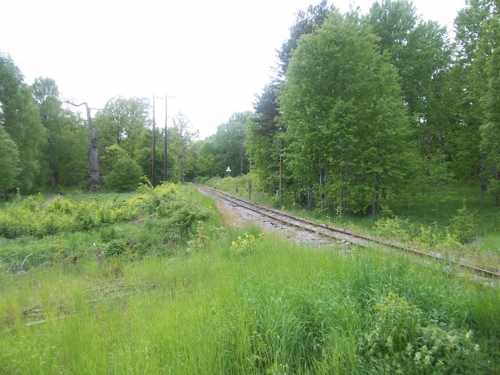 Södersida med sikt åt vänster. 60 meter är vid hastighetstavlan. Här uppfylls siktkraven.