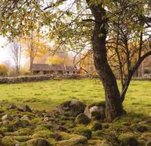 En kortare och en längre naturstig med information om Ätradalens natur startar från Kronogården. Här finns också en naturutställning om Ätra dalen och Falbygden.