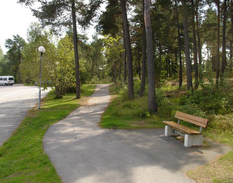 Parken inramas av ett tätare bestånd löv- och barrträd.