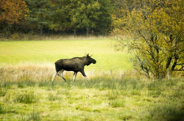 Gudstjänster Oktober 2 OKT TISDAG 15:00 Mässa, Klockareängen 3 OKT ONSDAG 11:00 Gudstjänst, Soläng 7 OKT - 19:E E TREFALDIGHET 12:00 Familjegudstjänst 18:00 Katolsk mässa, katolska församlingen Tunge