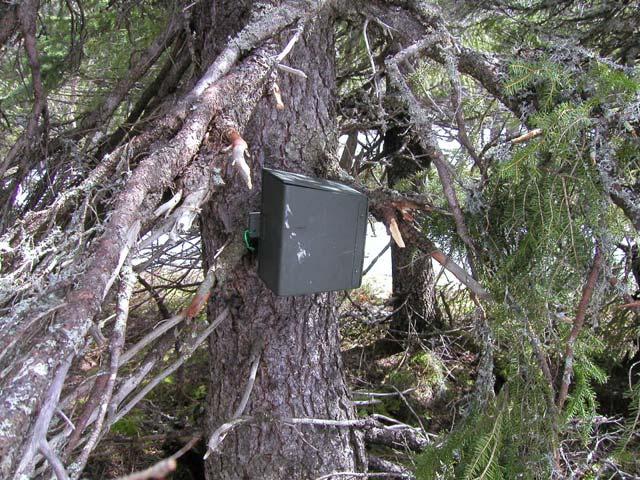 computerized logger in the receiver, which is programmed for the starting and stopping times (and thus the length) of the counting period.