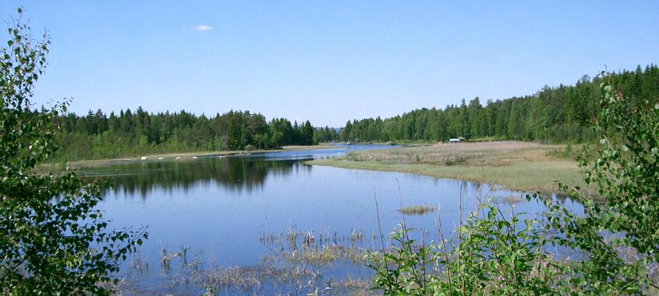 Kolbäcksån 2004 i korthet Inga större avvikelser från de normala förhållanden påvisades under årets undersökningar. Den vattenkemiska sammansättningen var överlag på normala nivåer.