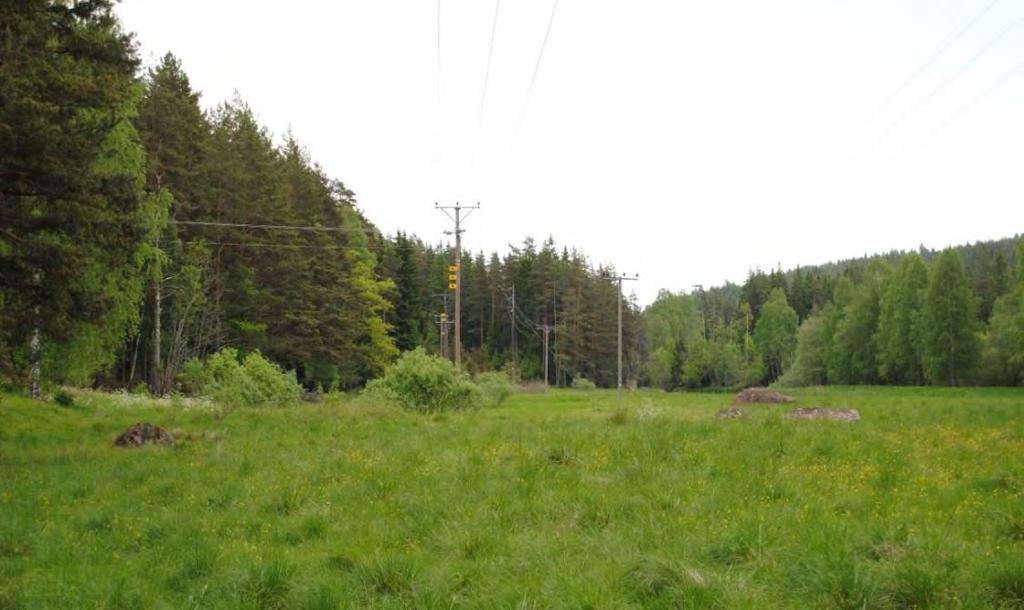 Figur 4.3. Fotografi över befintlig 40 kv luftledning (till höger i bild) och parallellgående 10 kv luftledning. 4.3 Drift och underhåll E.