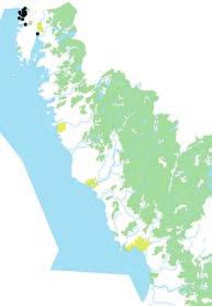 Detta är troligen Sveriges vanligaste krypbjörnbär med rikliga förekomster på ostkusten, i Skåne och i Bohuslän (Martensen & Pedersen 1987).