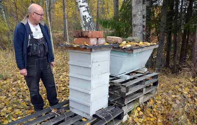 Johan Ingjald Bor: Pålsboda, Örebro län. Bin: Utökar med Nordiska bin. Har även traktens blandning som härstammar från Elgon. Honungsskörd: Ett normalt år i snitt 40 till 50 kilo per kupa.