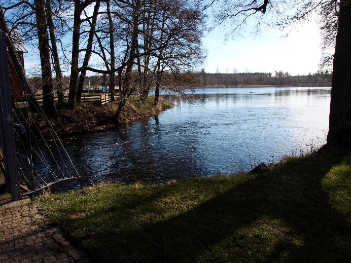 Mörtrom från Forsvik 2016 och asprom från Östtuna i Hedströmmen 2017 avviker rejält från arternas