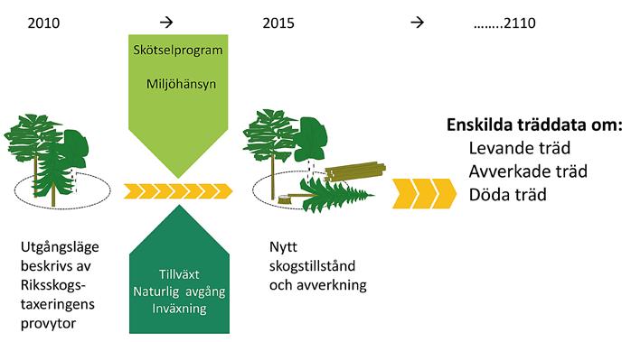 Figur 2. Schematisk bild av principen för beräkningar i Heureka RegVis.