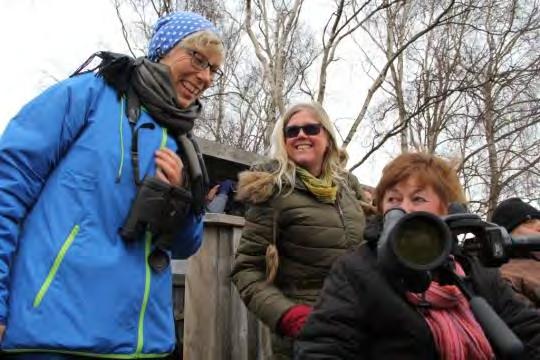 Tranor och tillgänglighet vid Pulken Tranorna i Vattenriket lockade tusentals besökare till Utemuseum Pulken.