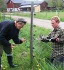 SIDA 4 KRETSTIDNING Montering av isolatorer vid stängslingsarbete (foto Göran Toss) VARG OCH STÄNGSLING KOM I OTAKT Runt millennieskiftet sattes ett antal rovdjurssäkra elstängsel upp runt