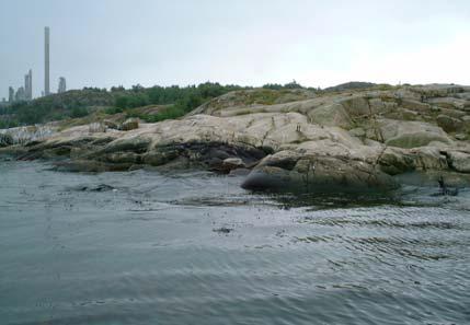 Två naturreservat finns inom fjorden - ett nära mynningen vid