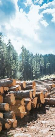 Case Hållbara materialval Trä och träprodukter är huvudkomponenter i våra produkter. Trä är slitstarkt, förnyelsebart och återvinningsbart.