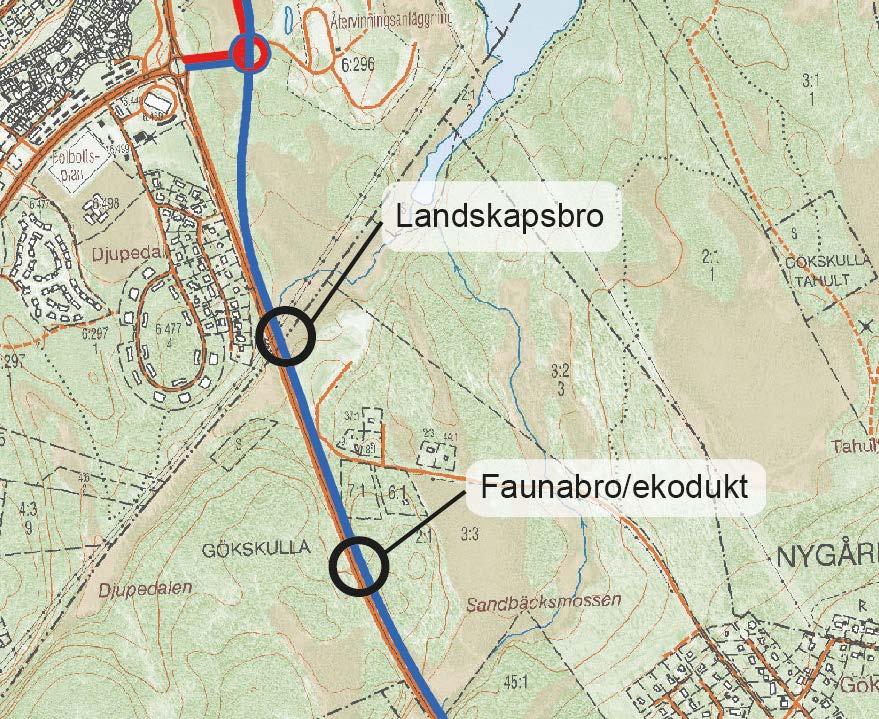3.3 Faunapassage på sträckan Öjersjö-Bårhult Huvudsyfte med passagen Huvudsyftet med faunapassagen är att skapa ett ekologiskt samband (ekologisk konnektivitet) mellan Bråtaområdet i väster och