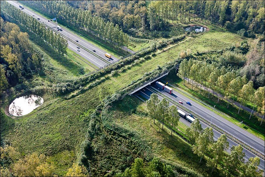 Detaljutformning av passagen kommer att ske i enlighet med Trafikverkets rapport 2011_159 Effektiv utformning av ekodukter och faunabroar.