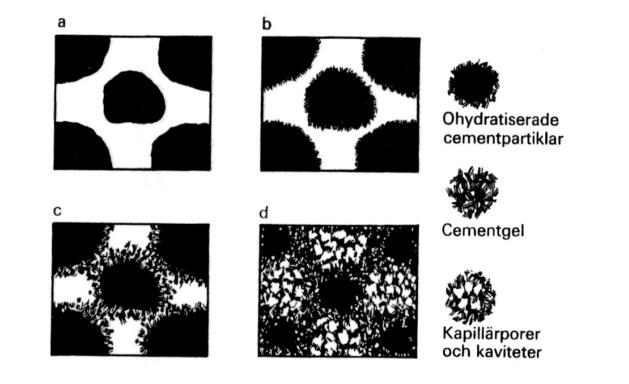 Material Figur 7. Illustration av cementreaktionens olika steg [7]. 3.