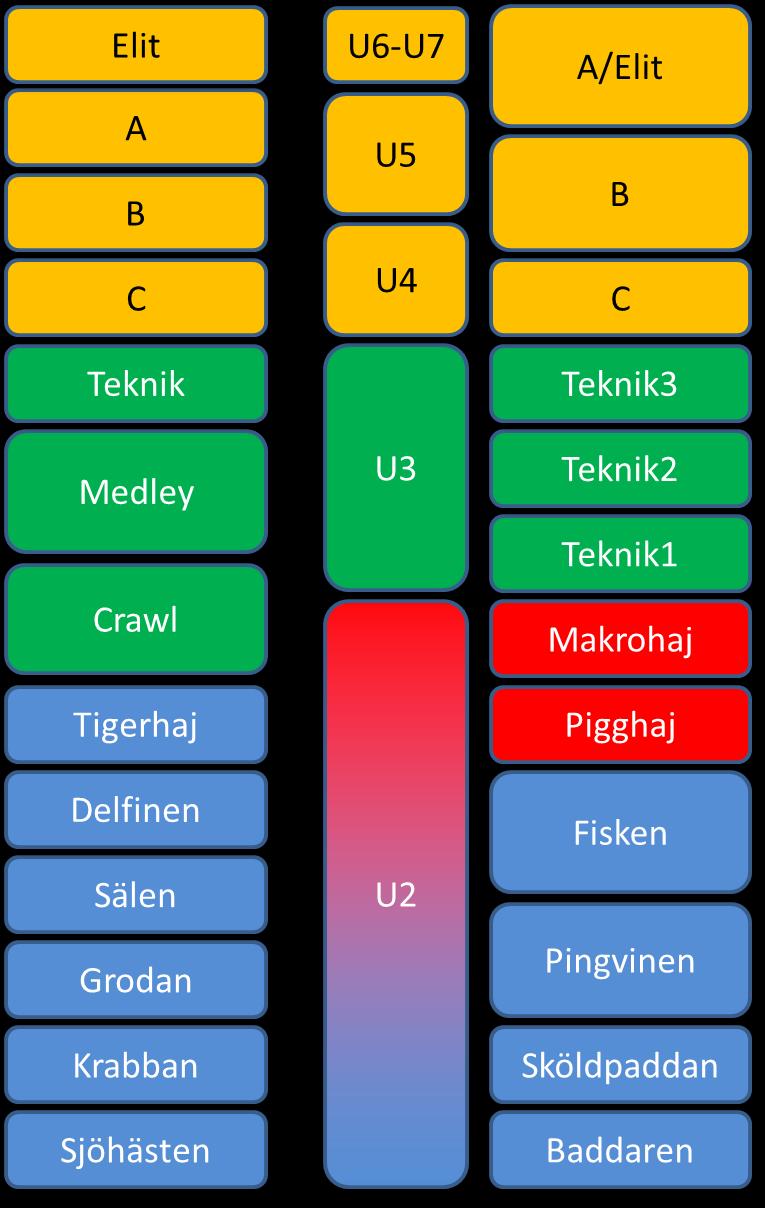 Verksamhetsberättelse Ungdomskommittén (tom 30/6) Ungdomskommittén (UK) har under 2013 inte haft någon egen verksamhet utan redan från årsskiftet 2012/2013 bedrevs hela tränings- och