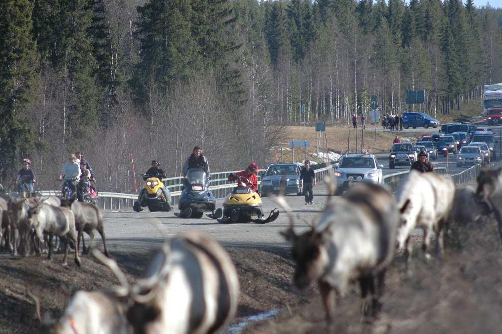 4. Öka kapacitet och kunskap hos myndigheter Kunskapshöjning om samiska rättigheter, renskötseln, kumulativa effekter efterfrågas!