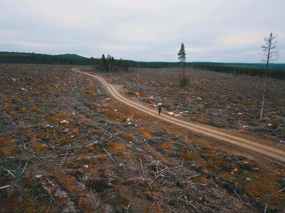 Huvudbudskap 1. Kraftig ökning i kumulativa effekter av exploateringar på betesmarkerna. 2.