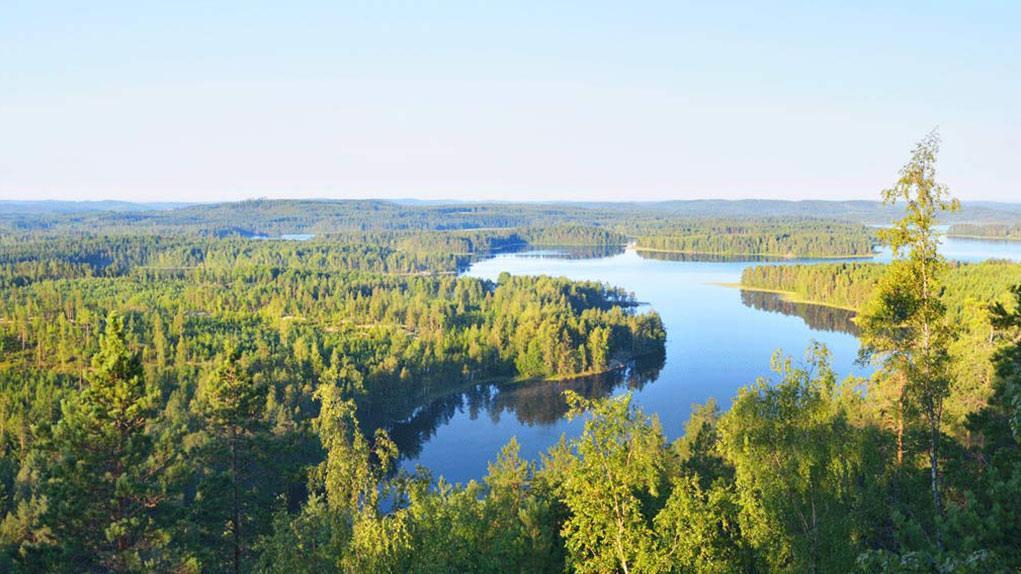 Uppföljning av skogsprogrammen Skogarnas