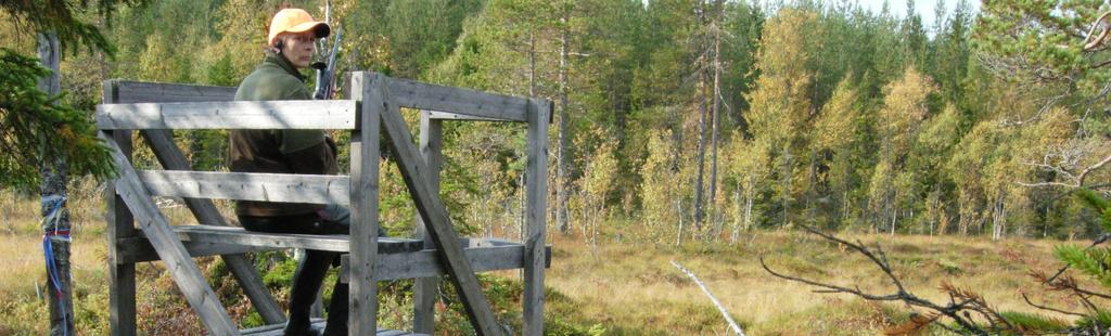 FOTO JAN HENRICSON, SVENSK JAKT Inledning Vid förvaltning av en älgpopulation är det viktigt att känna till antal djur, reproduktion och dödlighet. Dödligheten orsakas till största delen av jakt.